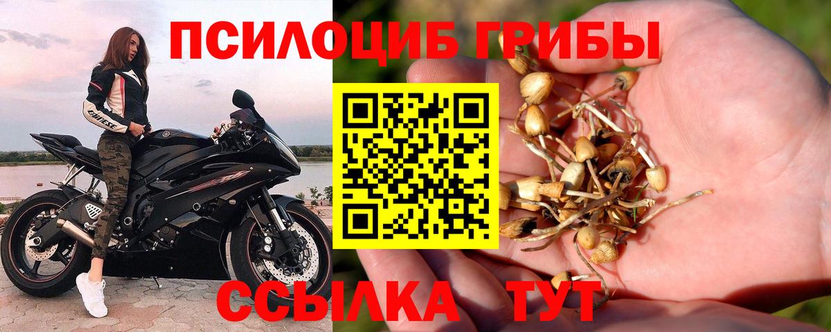 Галлюциногенные грибы ЛСД  Вход с VPN  Ялуторовск 